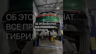 Этого про гибриды вам никто больше не расскажет