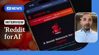 Moltbook: social media for AI where humans can't post | ABC NEWS