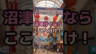 ㊗️13万再生㊗️沼津行くならここへ行け！2025年最新版