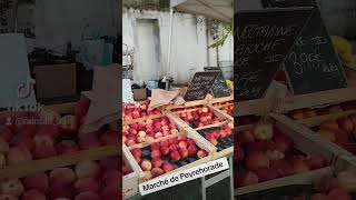 marché de Peyrehorade dans les landes