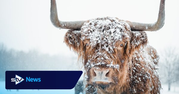 Snow blizzard to hit Scotland as Met Office weather warnings issued