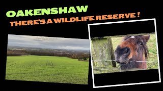 OAKENSHAW. A decent village to live! #durham #village #uk #england #decent #youtube #life #fields