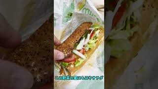 サブウェイの個人的にベストな食べ方を紹介する！　#shorts #W:X:Y #TaniYuuki