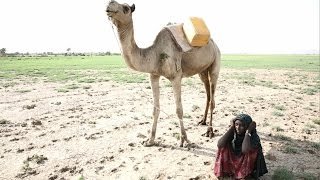 13歳のアイシャの1日～水を得るために～ /日本ユニセフ協会