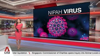 Singapore's Changi Airport to screen travellers from affected areas amid Nipah outbreak in India