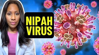 NIPAH VIRUS: A Doctor Explains Symptoms, Transmission, Risk Factors and How Dangerous It Is!