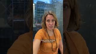 What to know about Nipah virus after cases emerge in India | REUTERS