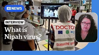 What is Nipah virus? | ABC NEWS
