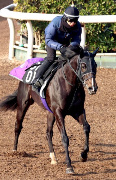 【きさらぎ賞】「あのセリの中で１番」友道調教師がほれ込んだ５・９億円馬エムズビギンが勝てば激変する「記録」とは（スポーツ報知）｜ｄメニューニュース