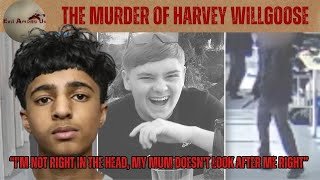 The Horrific Murder of Harvey Willgoose – British teenager killed in school [True Crime Documentary]