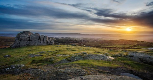 World’s rarest big cat has been born in the UK - and it’s never been seen before