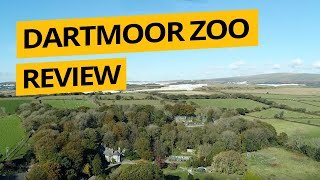 Dartmoor Zoo Review | Devon Tourist Attractions