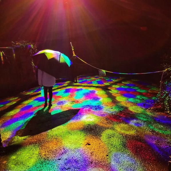 Illuminations at the Zoo
.
.
.
.
.
.
.
.
#sparkwellzoo#sp...