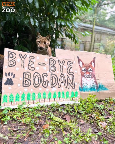 Yesterday, we bid a warm farewell to Bogdan, one of our l...