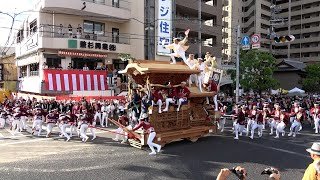 令和7年 岸和田だんじり祭 曳き出し カンカン場 全やりまわしKishiwada Danjiri Matsuri2025/09/13