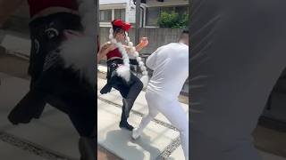 だんじり祭りでギャルに知名度調査してみた！　#祭り #お祭り #だんじり #女子 #ギャル #神輿 #夏祭り #有名人 #リサイクルイッチー