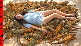 The Cold Weather is FREEZING 1,000s of IGUANAS out of Trees FALLING on EVERYTHING!