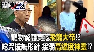 寵物餐廳竟藏「飛龍大帝」！？ 唸咒驅惡靈拔無形針…接觸「高緯度神靈」！？【關鍵時刻】20260202-6 張炤和 吳政峰