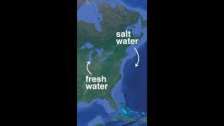 Are the Great Lakes actually seas?