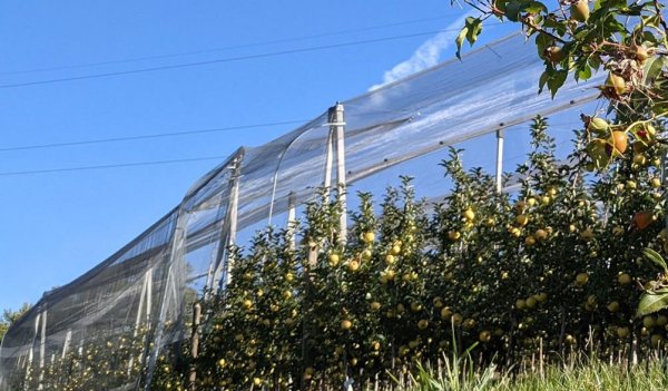 Giovani e agricoltura, arrivano i contributi per il primo insediamento in Alto Adige