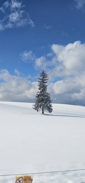 What is the purpose of going on a trip. It's an escape from everyday life.To this end, the virtue th.. - MK