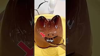 3 Things In Japan That Will Make You Raise Your Eyebrows.. 😳 #japan #japanthings #japantourism