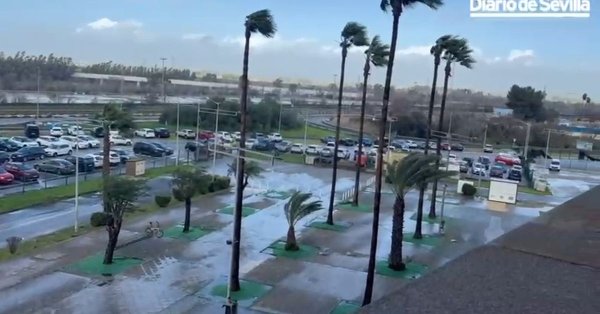 Vídeo | El estado actual del estadio de La Cartuja a horas del Betis-Atlético