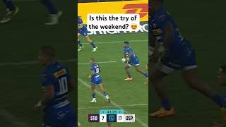 The DHL Stormers light it up ⚡️#rugby #rugbyunion #stormers