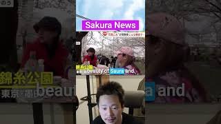Japanese Sakura Festival Cancelled What You MUST Not Do in Japan #shorts #Japan