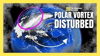 Polar Vortex Disturbed: A Rare Sudden Stratospheric Warming Begins | #forecast