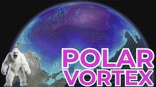 Polar Vortex Facts You Need To Know! (Sudden Stratospheric Warming Event)