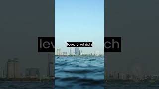 Sudden Stratospheric Warming