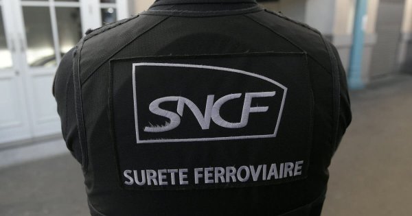 Lyon. Après s’être réfugiée dans les toilettes, elle avait frappé et craché sur des policiers lors d’un contrôle SNCF
