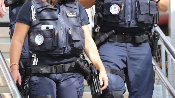 Elle voyage sans billet dans le train : &agrave; Lyon, elle s'enferme dans les toilettes avant de frapper un policier