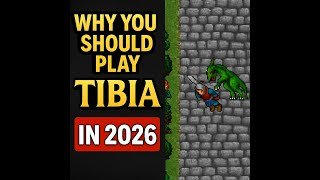 WHY YOU SHOULD PLAY TIBIA IN 2026