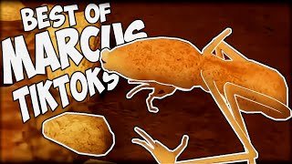 All Marcus TikToks in 2025