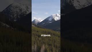 Канада или Швейцария?  #турыонлайн #travel #тревелвлог #поездка #отпускпродолжается #туризм