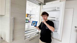 stealing food from steak's fridge..