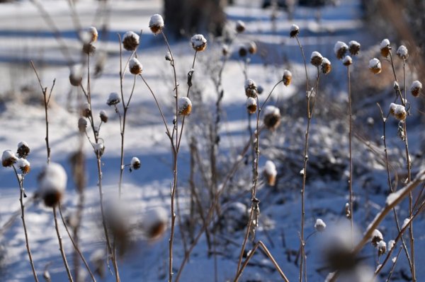Colorado weather: More than a foot of snow forecast for mountains this week