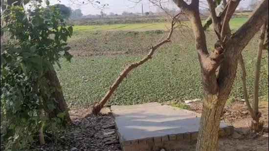 Greater Noida: 3-year-old boy dies after drowning in water-filled pit