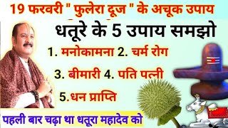 फुलेरा दूज का ये उपाय जरूर करना | धतूरे से करना उपाय सभी लोग | pradeep Mishra phulera dooj ke upay 