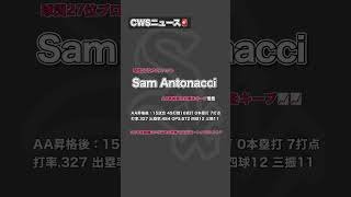 【CWSニュース🚨】サムアントナッチがアツい🔥