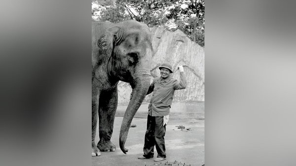 多様化は進んでも、やっぱり動物園は子供のよき友達