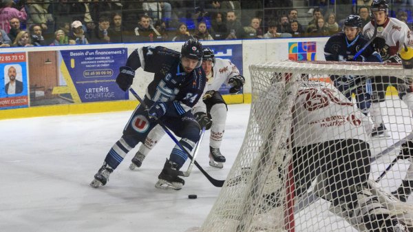 « On est chassés, à eux de venir nous chercher » : chaque point va compter pour Tours dans la quête du top 4