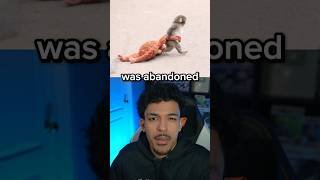 i feel bad for bro 😭💔