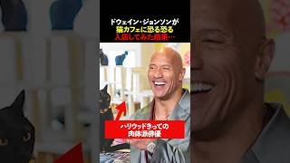 ドウェイン・ジョンソンが猫カフェに恐る恐る入店してみた結果…　#shorts #海外の反応 #ドウェインジョンソン