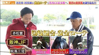 【阪神JF】名伯楽・国枝栄調教師が黄金ローテで牝馬GI最多勝へ！期待の素質馬ヒズマスターピースを送り込む！