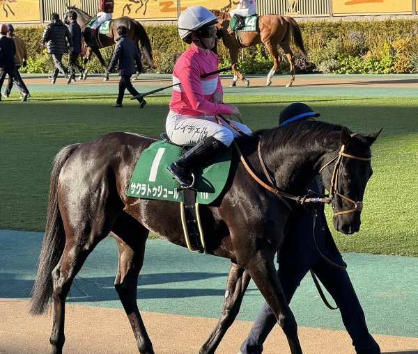 サクラトゥジュール