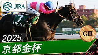 2025年 京都金杯（GⅢ） | サクラトゥジュール | JRA公式