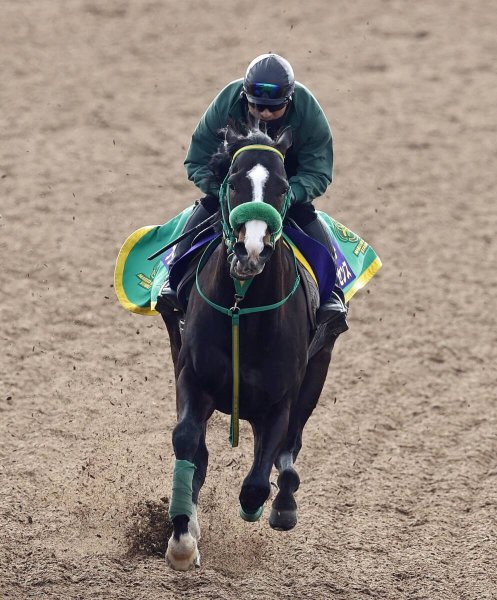 小宮の日曜注目馬【東京１１Ｒ・フェブラリーＳ】
